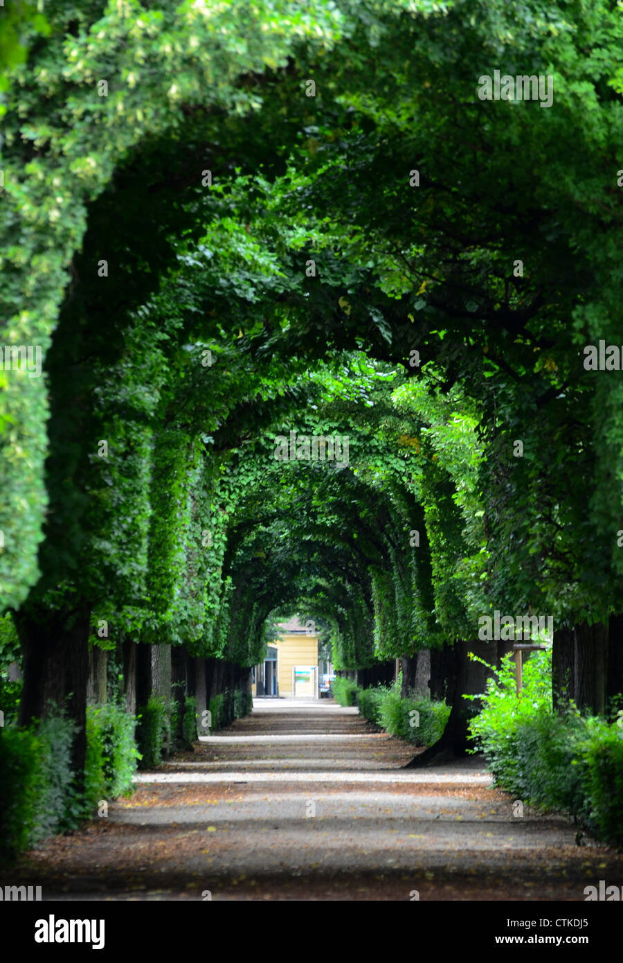 Schönen Park am Schloss Schönbrunn in Wien Stockfoto