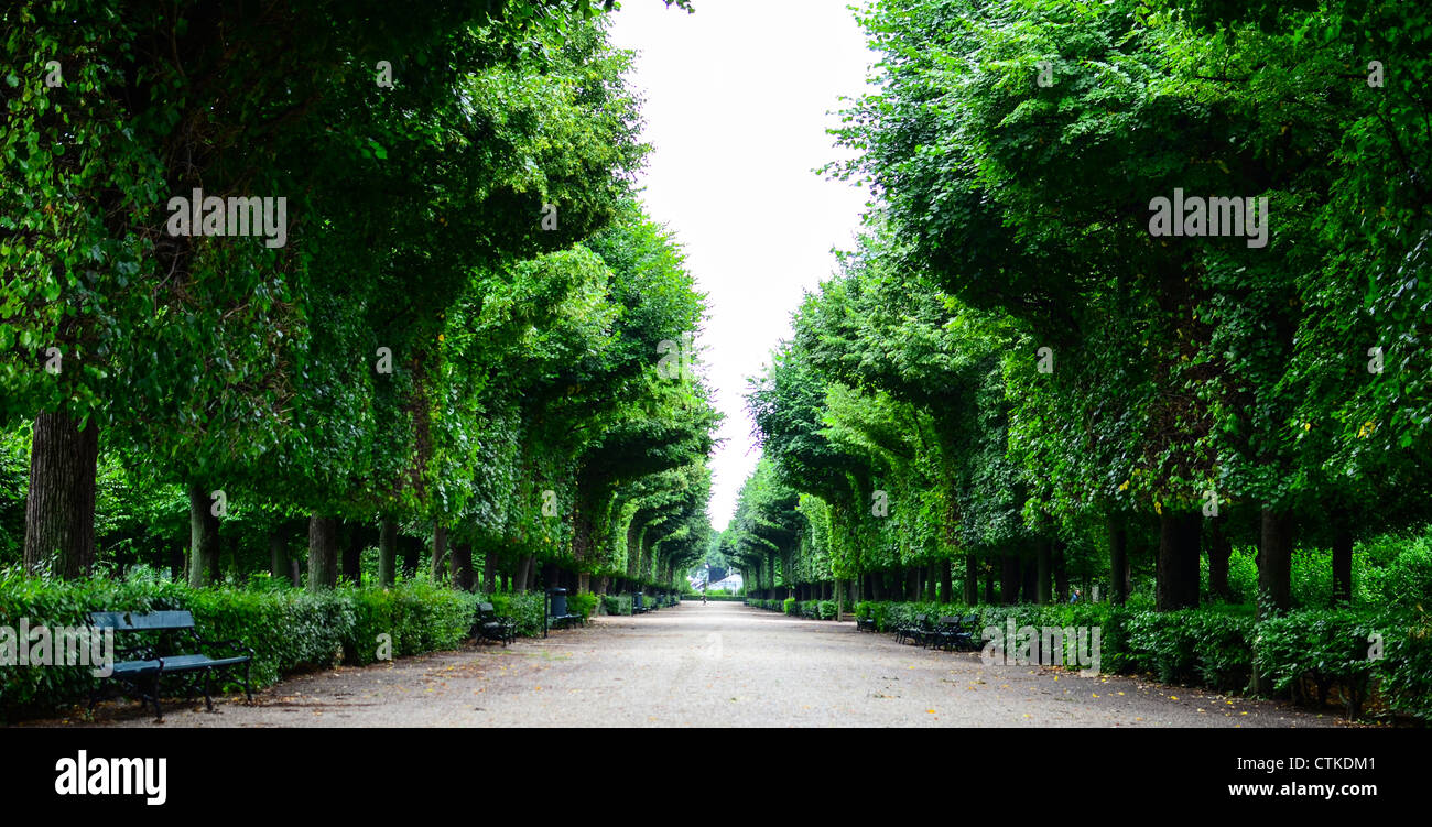 Schönen Park am Schloss Schönbrunn in Wien Stockfoto