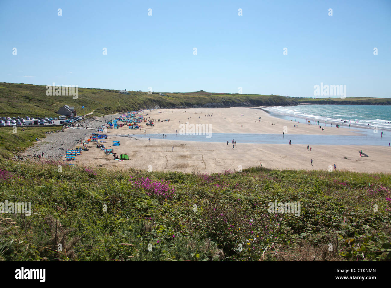 Küstenweg Whitesands Beach in der Nähe von Ramsey Insel in Pembrokeshire Wales UK 120852 Whitesands Stockfoto