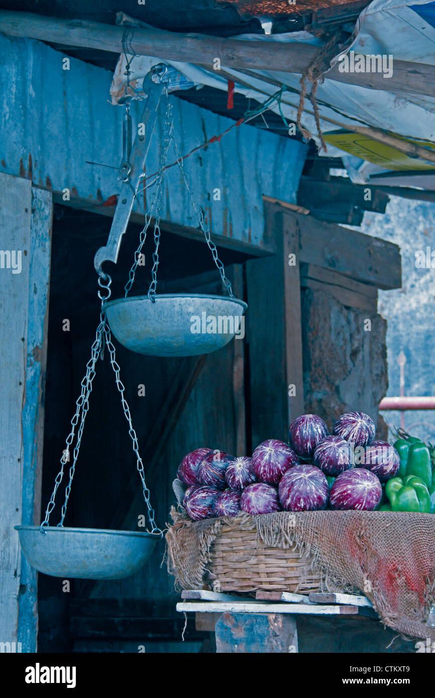 Aubergine, Auberginen, Solanum Melongeana L auf Verkauf, Indien Stockfoto