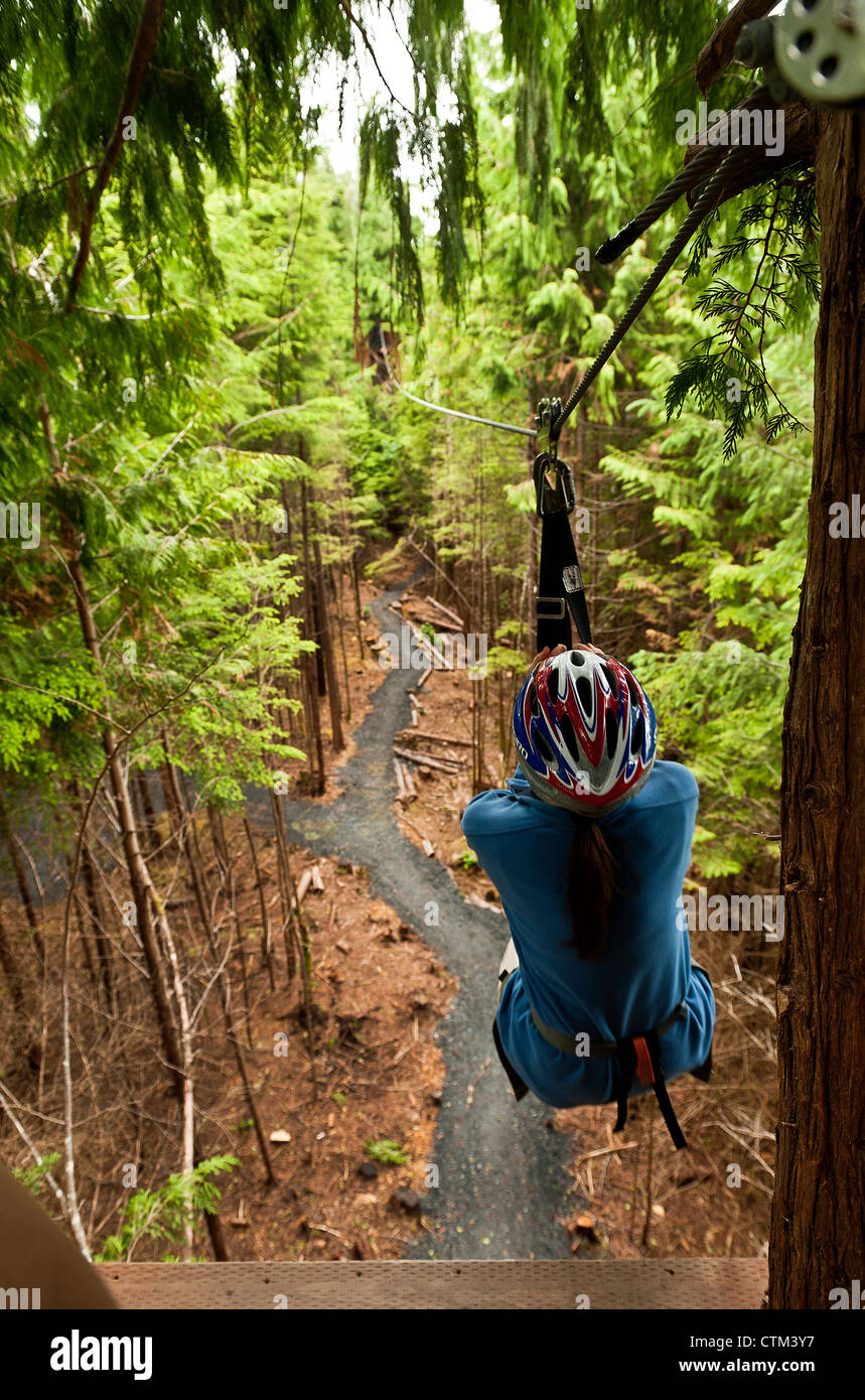 Frau genießt eine Zipline Abenteuer durch die Bäume, Ketchikan, AK, Alaska, USA Stockfoto