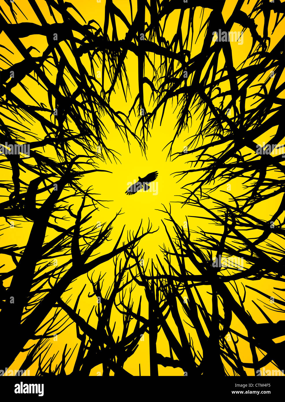 Illustration (Vektor-Stil) der Silhouette von Bäumen und einem fliegenden Raubvogel unter gelben Himmel Stockfoto