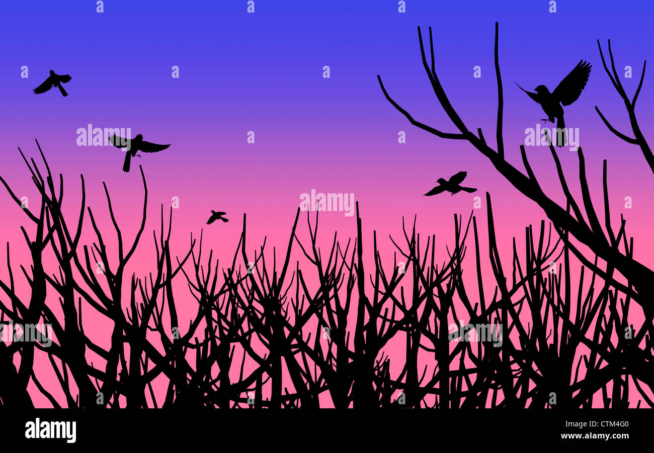 Schneiden Sie Illustration (Vektor-Stil) der Silhouette von Bäumen und fünf fliegende Elstern unter einem nächtlichen Himmel blau und rosa Stockfoto