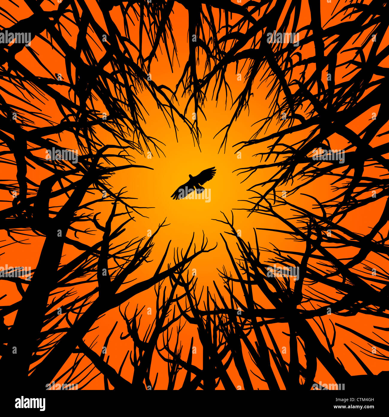 Illustration (Vektor-Stil) der Silhouette von Bäumen und einem fliegenden Raubvogel unter orangefarbenen Himmel Stockfoto