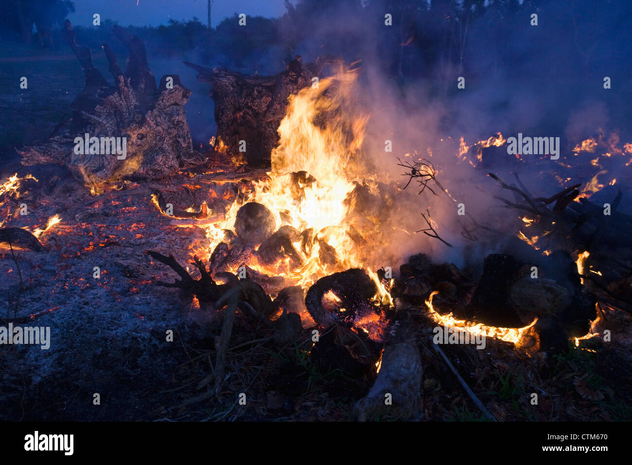 Ein brüllen Feuer; Dunsborough, Westaustralien, Australien Stockfoto