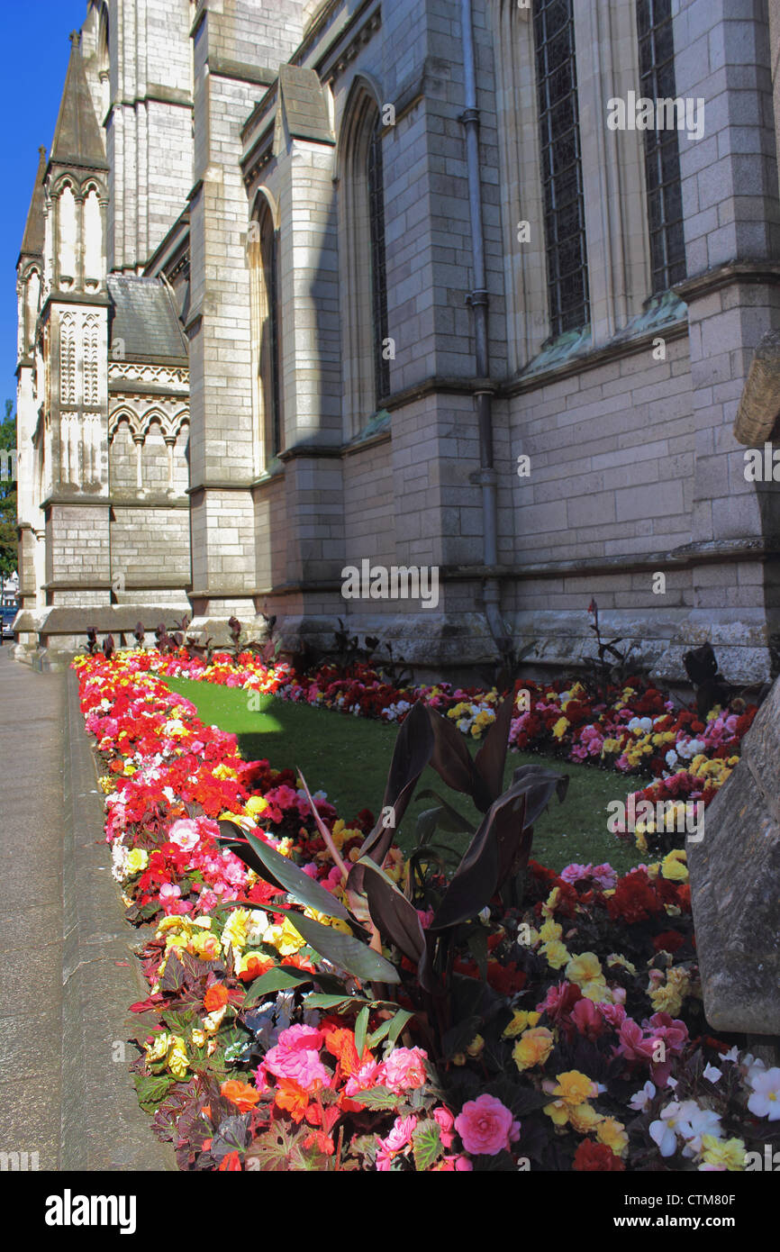 Blütenpracht außerhalb Truro Cathedral Cornwall UK Stockfoto