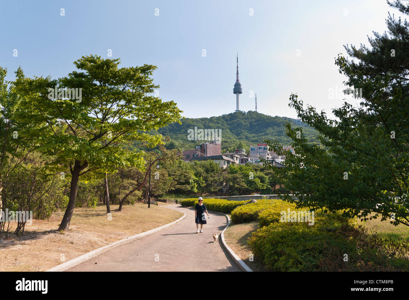 Ansicht des Namsan n Seoul Tower, Seoul, Korea Stockfoto