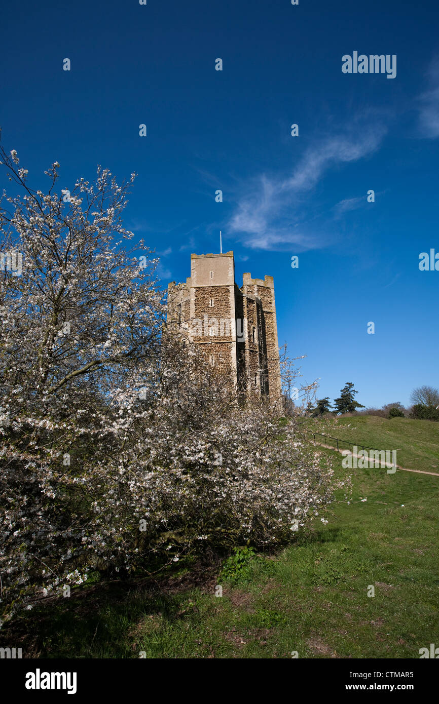 Orford Castle Suffolk Stockfoto