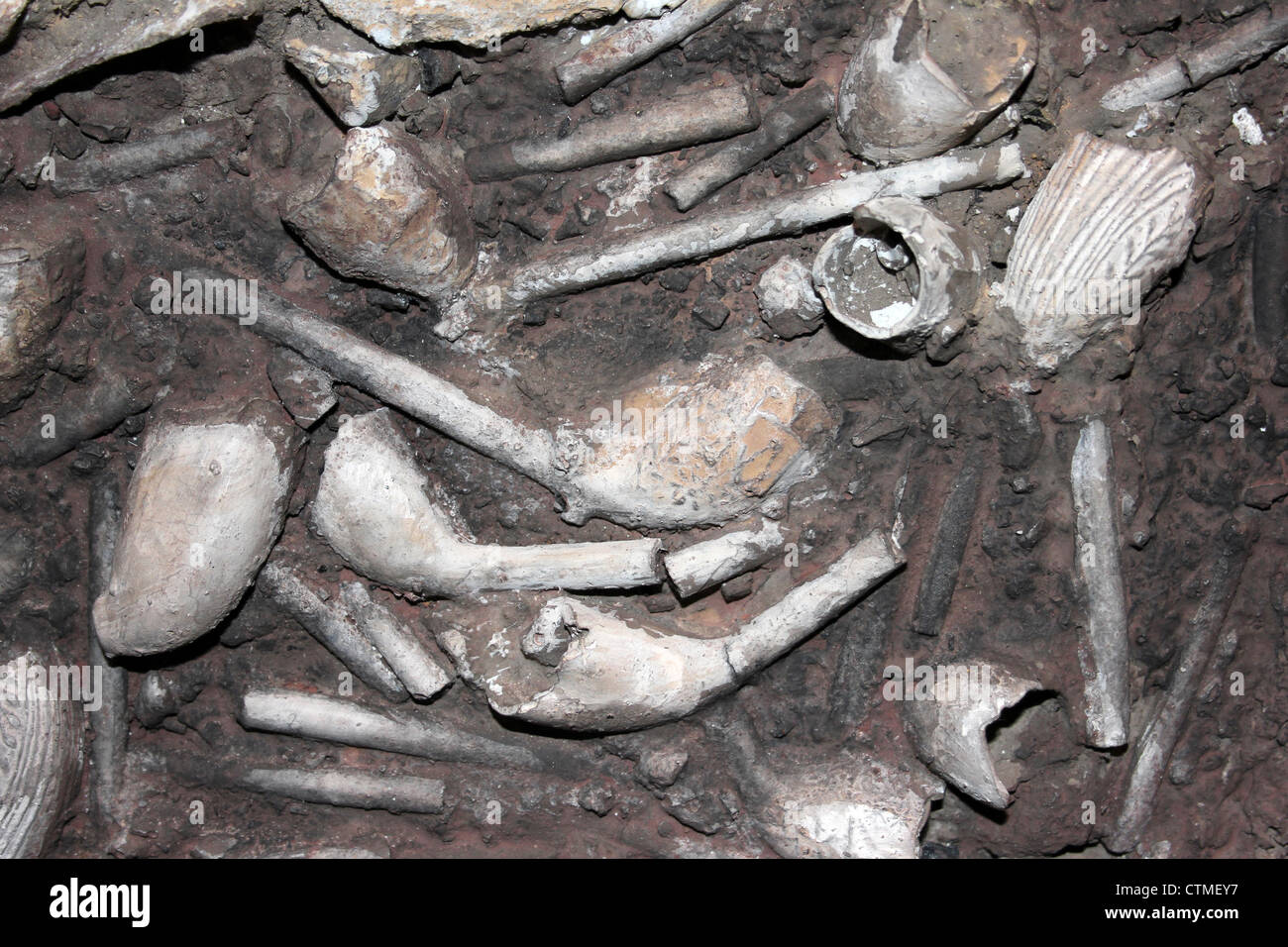 Replik von einem archäologischen finden von Clay Tabakpfeifen Stockfoto
