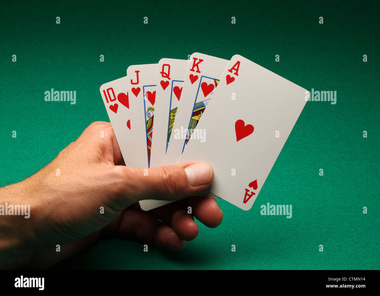 Eines Mannes Hand mit Spielkarten am grünen Tisch. Ein Royal Flush von Herzen in das Spiel von Poker Stockfoto