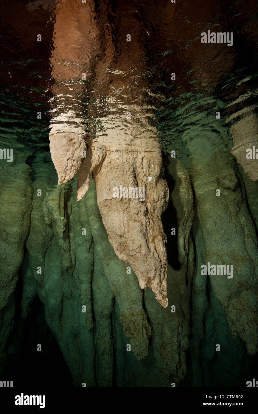 Kalkstein Stalaktiten in Chandelier Cave auf den Inseln von Palau in Mikronesien. Stockfoto