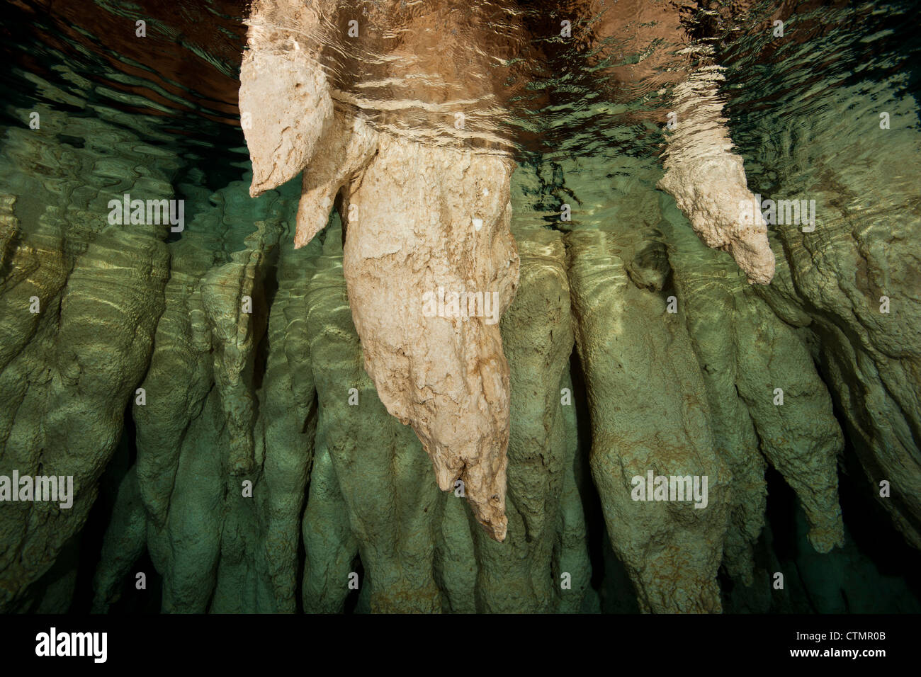 Kalkstein Stalaktiten in Chandelier Cave auf den Inseln von Palau in Mikronesien. Stockfoto