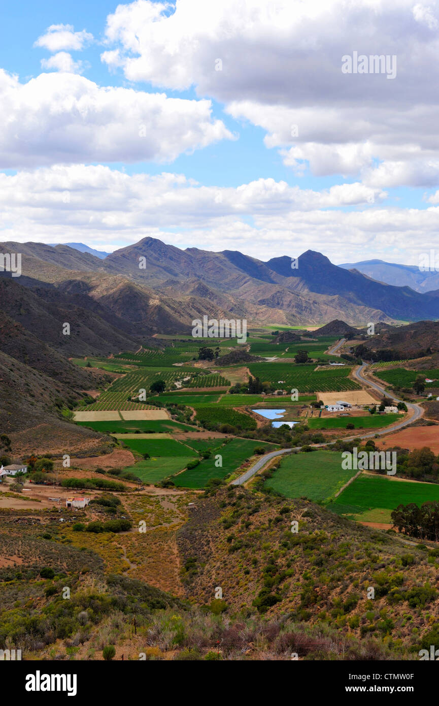 Koo Valley auf der Suche in Richtung Montague, kleine Karoo, Western Cape, Südafrika Stockfoto