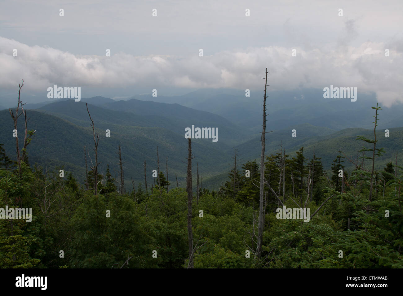 Blick von der Clingman Kuppel, Great Smoky Mountains National Park, USA Stockfoto