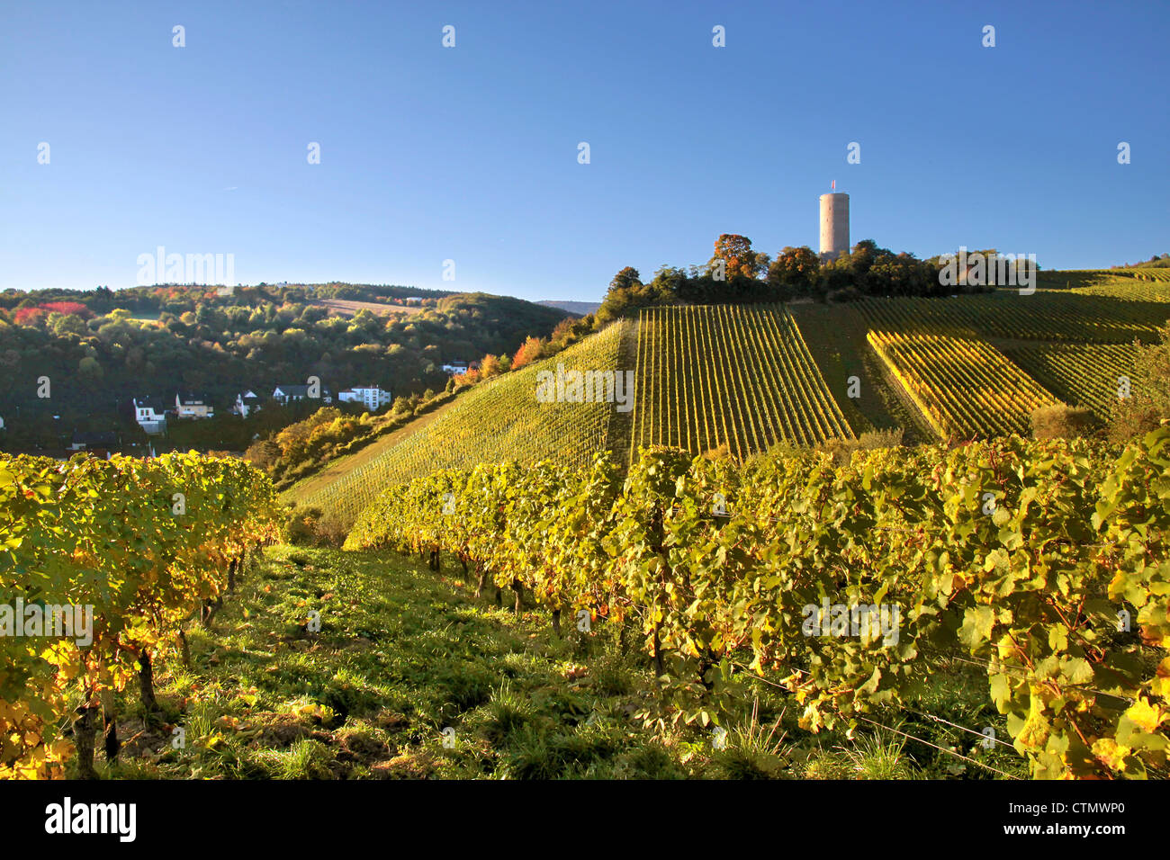 Schloss Scharfstein (1160 um 1260) in Kiedrich, Rheingau, Hessen, Deutschland Stockfoto