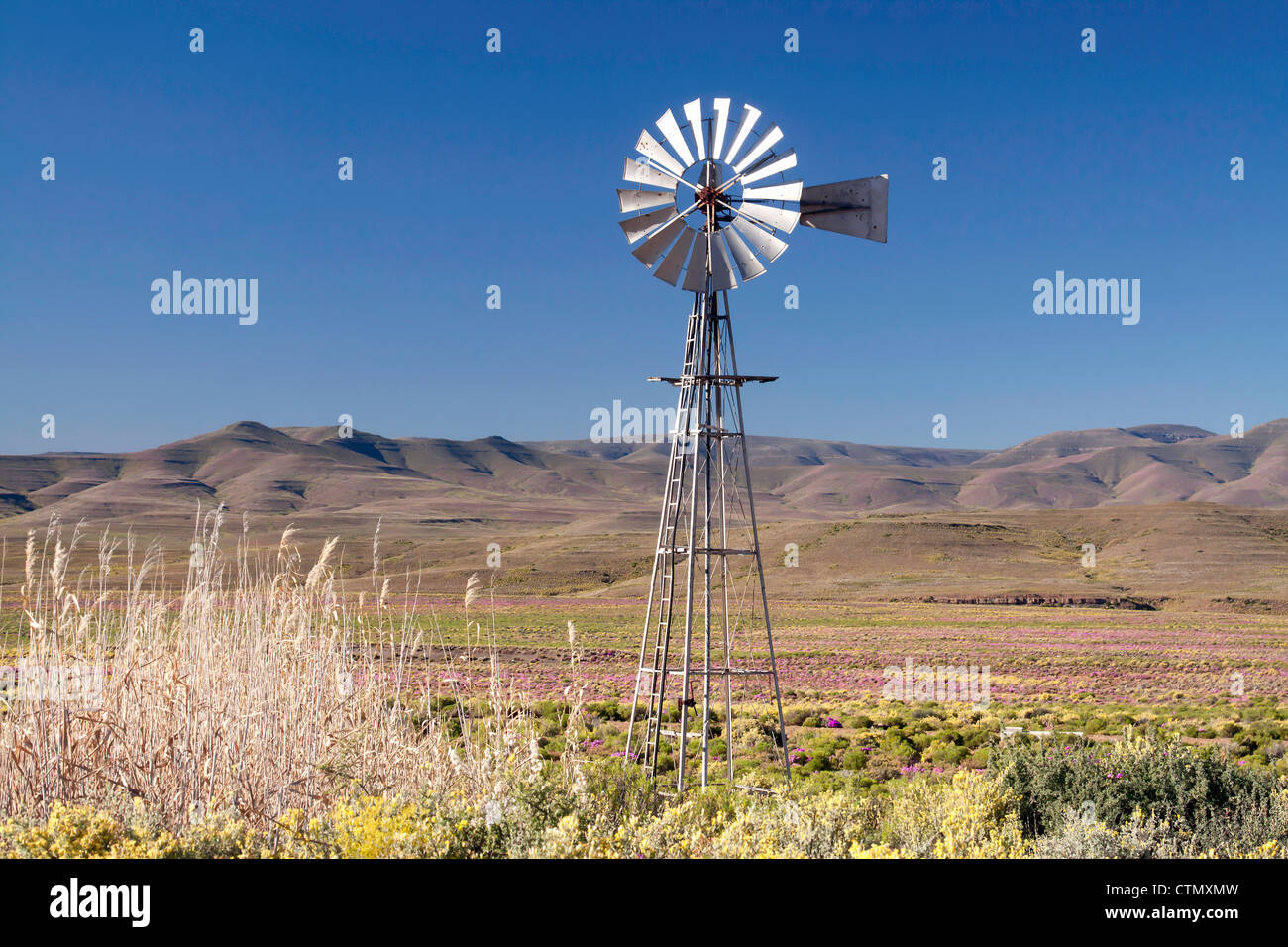 Windmühle zwischen Sutherland und Matjiesfontein, Western Cape, Südafrika Stockfoto