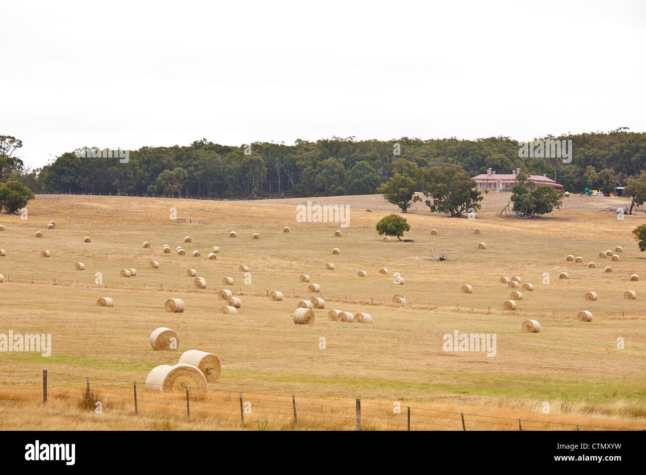 Australische Landwirtschaft Bauernhof Heuballen Outback Victoria Australien Au Stockfotografie Alamy