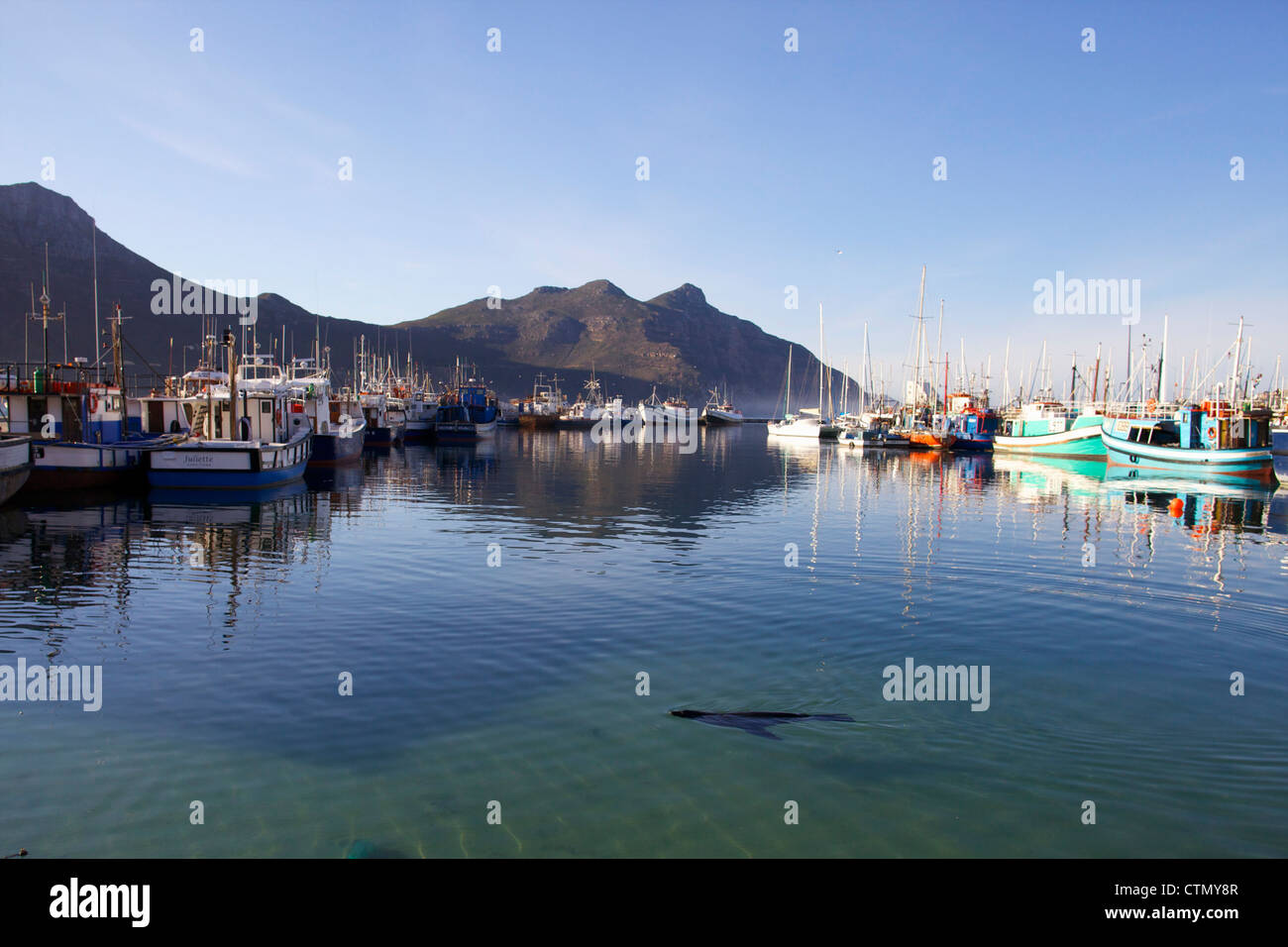 Boote und Yachten im Hafen von Hout Bay, Western Cape, Südafrika angedockt Stockfoto