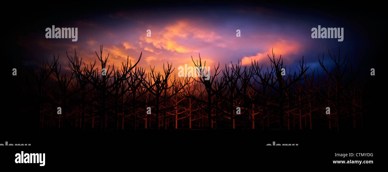 Abbildung von einem unbewohnten Wald toter Bäume unter einem theatralischen Stil Hintergrund Himmel Stockfoto