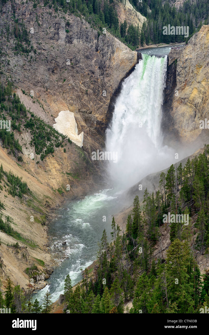 Niedriger fällt der Yellowstone River vom Lookout Point, Grand Canyon des Yellowstone, Yellowstone-Nationalpark, Wyoming, USA Stockfoto