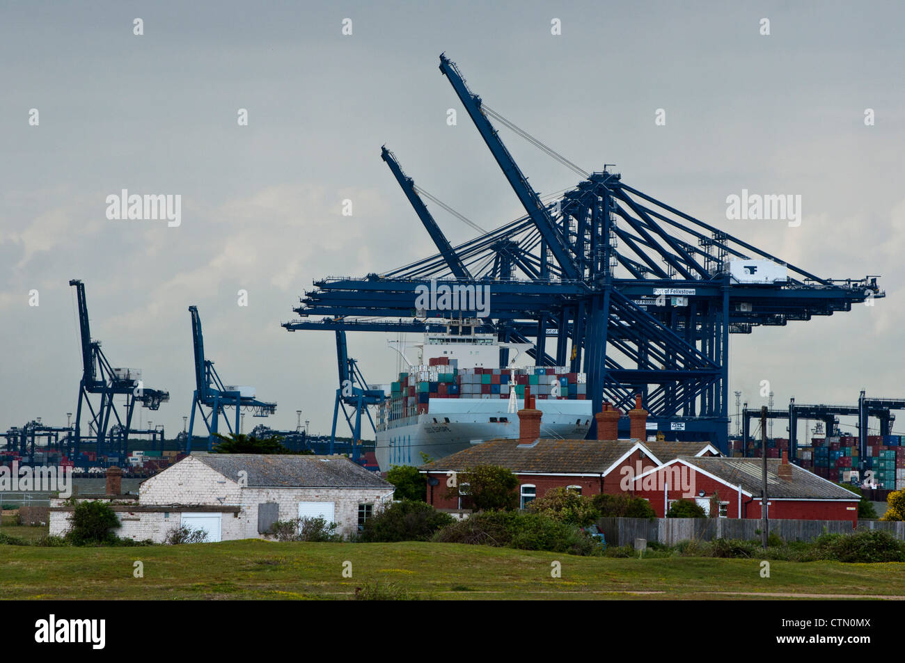 Hafen von Felixstowe Krane und Schiff hinter Häuser Stockfoto