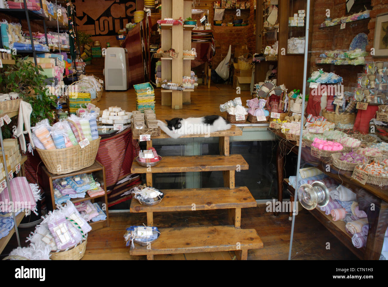 Ein Uber-gekühlt Katze mit den Füßen bis in eine schöne kleine Body Shop in Istanbul. Bild: Adam Alexander/Alamy Stockfoto