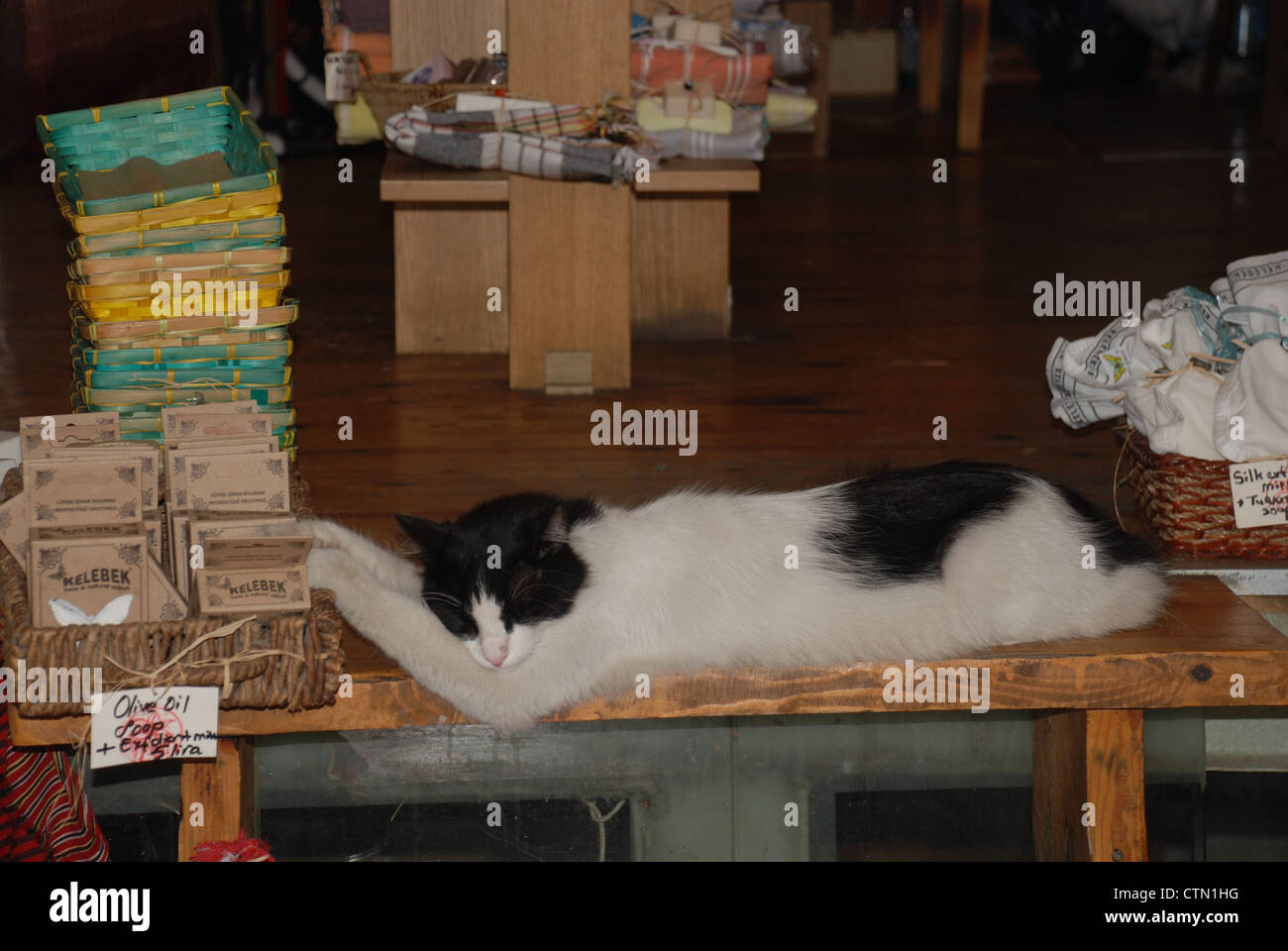 Ein Uber-gekühlt Katze mit den Füßen bis in eine schöne kleine Body Shop in Istanbul. Bild: Adam Alexander/Alamy Stockfoto