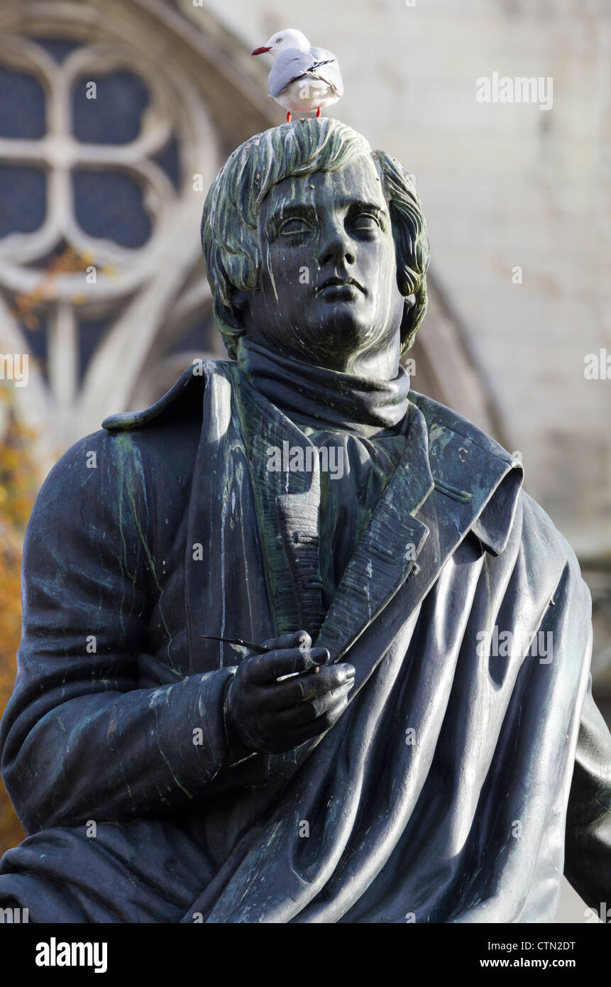 Rot-billed Gull hocken auf Statue von Robbie Burns, Dunedin Neuseeland Stockfoto