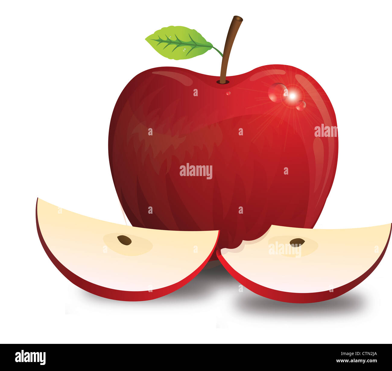 Apfel, Obst, rot, mit Stiel-Blatt-Samen, ganz und Geschnetzeltes, gebissen, Vektor-Illustration Stockfoto