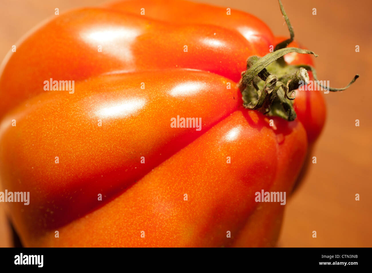 Ochse Herz Tomaten, eine italienische Erbstück-Vielfalt Stockfoto