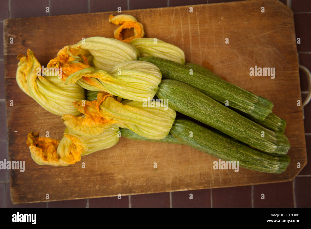 Zucchini mit ihren Blüten Stockfoto