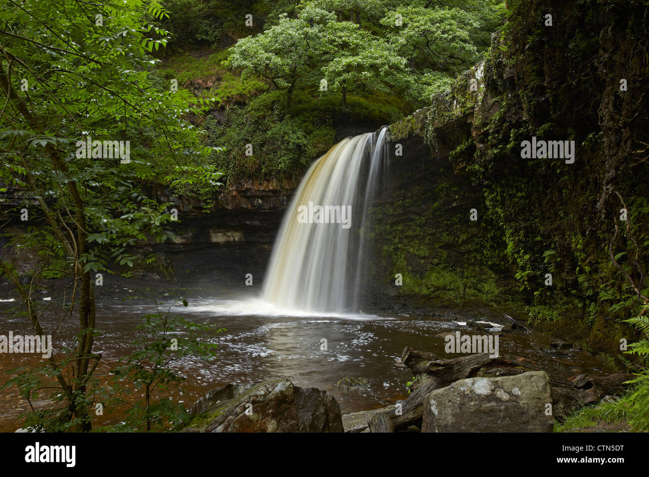 Sgwd Gwladys (Lady fällt) Pontneddfechan, Neath Valley, Wales, UK Stockfoto