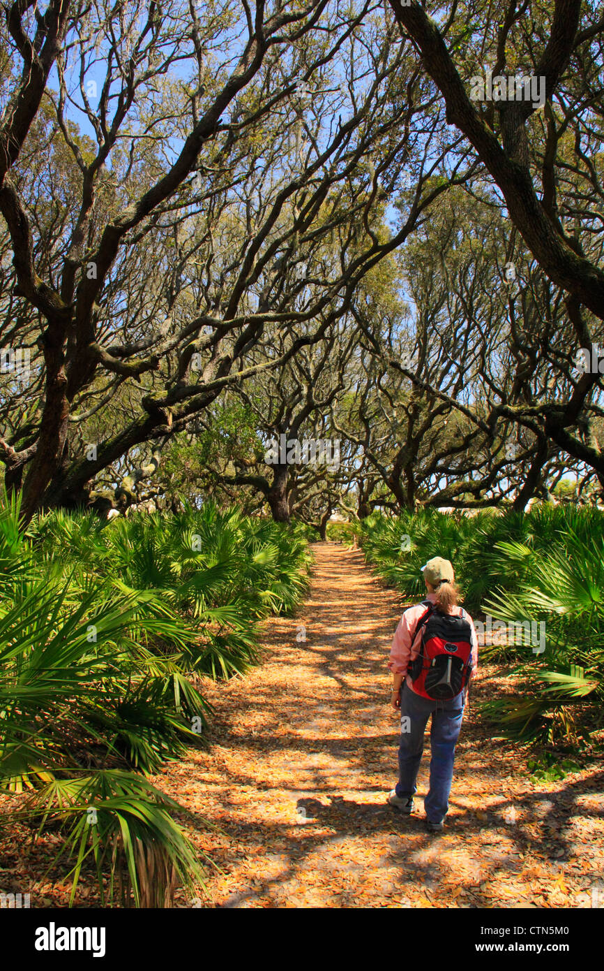 Sea Camp Beach Trail, Cumberland Island National Seashore, Georgia, USA Stockfoto