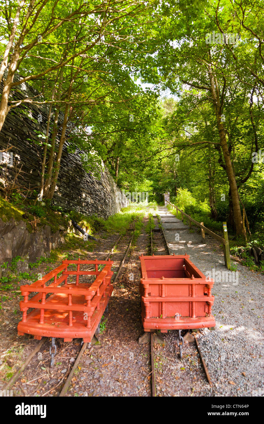 Padarn Country Park Llanberis North Wales Uk Stockfoto