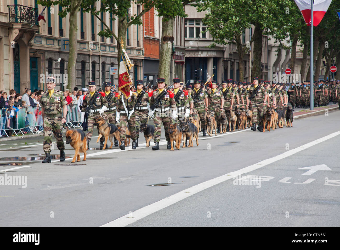Militärische Hundeführer und ihre Gebühren-Parade durch die Straßen von Lille, während der Feierlichkeiten zum Tag der Bastille Stockfoto