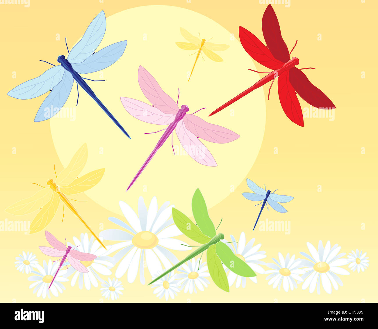 ein Beispiel für eine schöne bunte Libellen fliegen über weiße Gänseblümchen unter eine große gelbe Sonne in einem abstrakten und Grußkarten-format Stockfoto