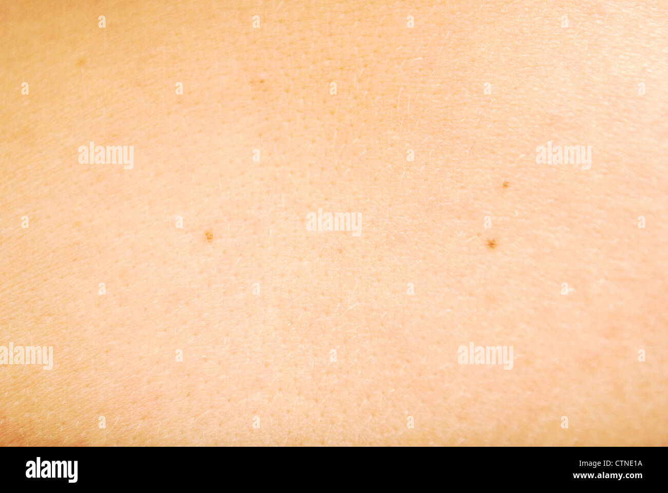 Die menschliche Haut Textur Stockfoto