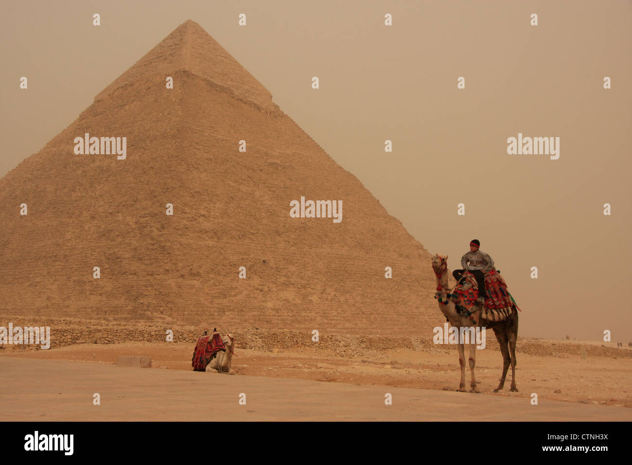 Pyramide von Khafre und Kamelen im Sandsturm, Kairo, Ägypten