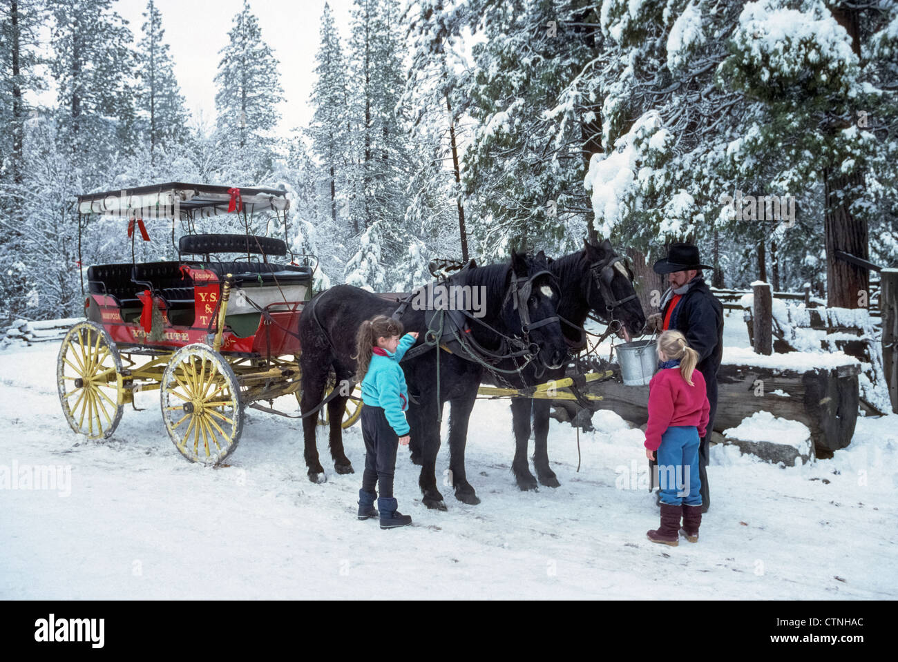 Zwei Jungen Winter Besucher zum Yosemite National Park zu sehen, dass der Fahrer eine Vintage Kutschfahrt seine zwei Pferde füttern bei Wawona in Kalifornien, USA. Stockfoto