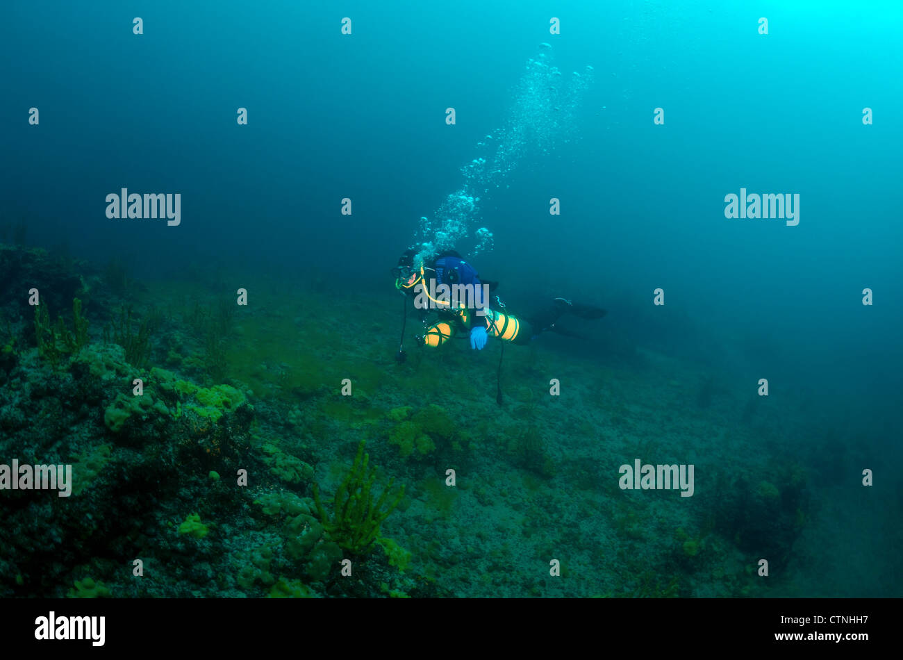 Tauchen in den Baikalsee, Sibirien, der Russischen Föderation, Eurasien. Stockfoto