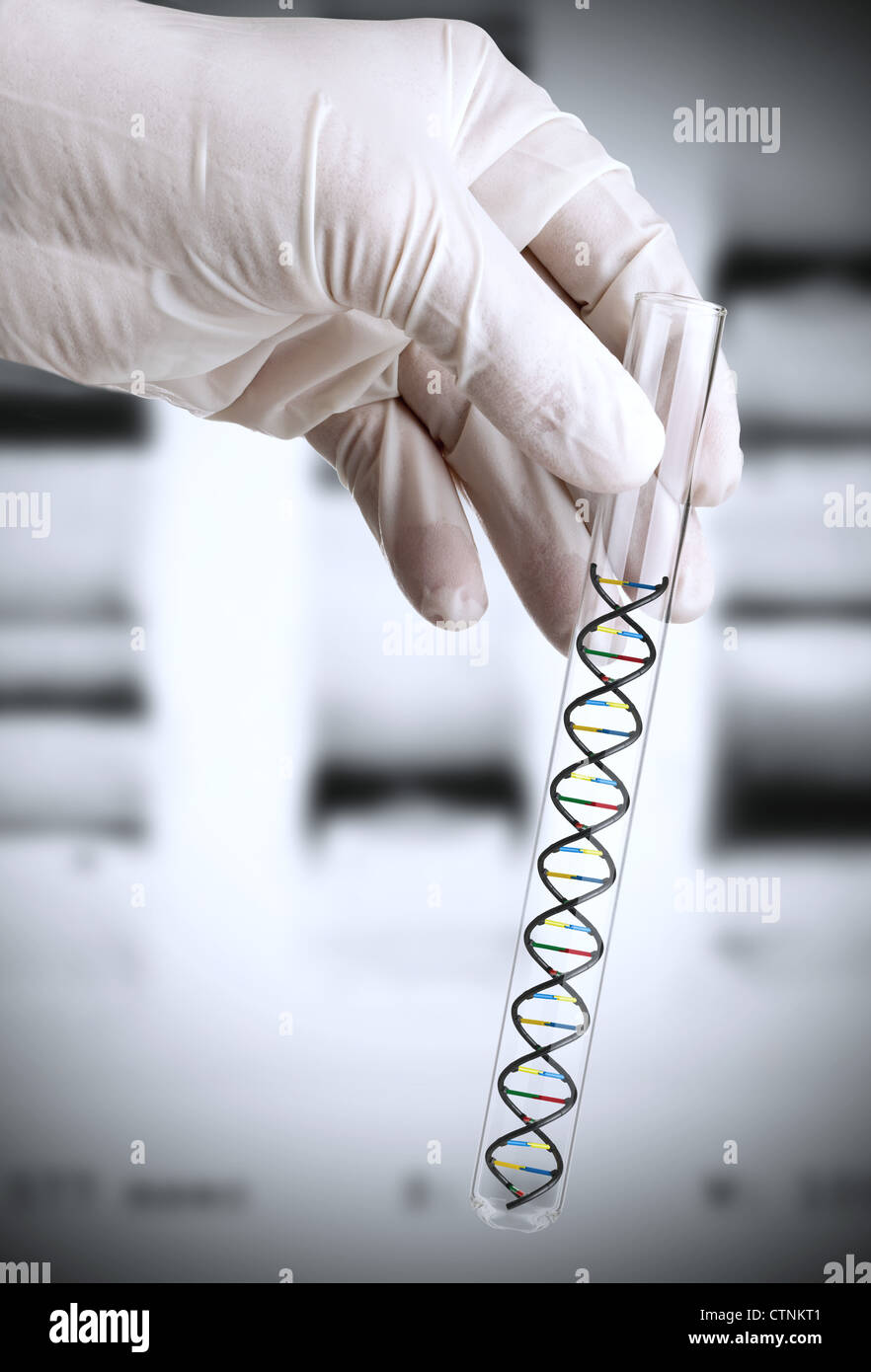 Forschers Hand hält Reagenzglas mit DNA-Modell vor DNA-Transparenz-Folie Stockfoto