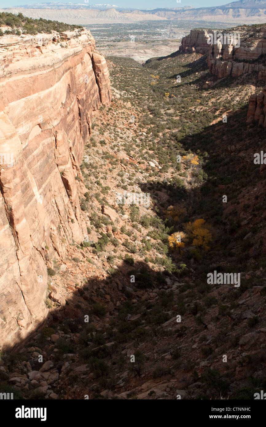 Krasse Schatten bisect einen tiefen Canyon in Colorado National Monument, Colorado, USA Stockfoto