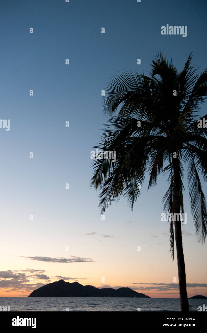 Sonnenaufgang am Wongaling Beach, ein Teil der Mission Beach, mit Palmen, Kasuar Küste, Nord-Queensland, Australien Stockfoto