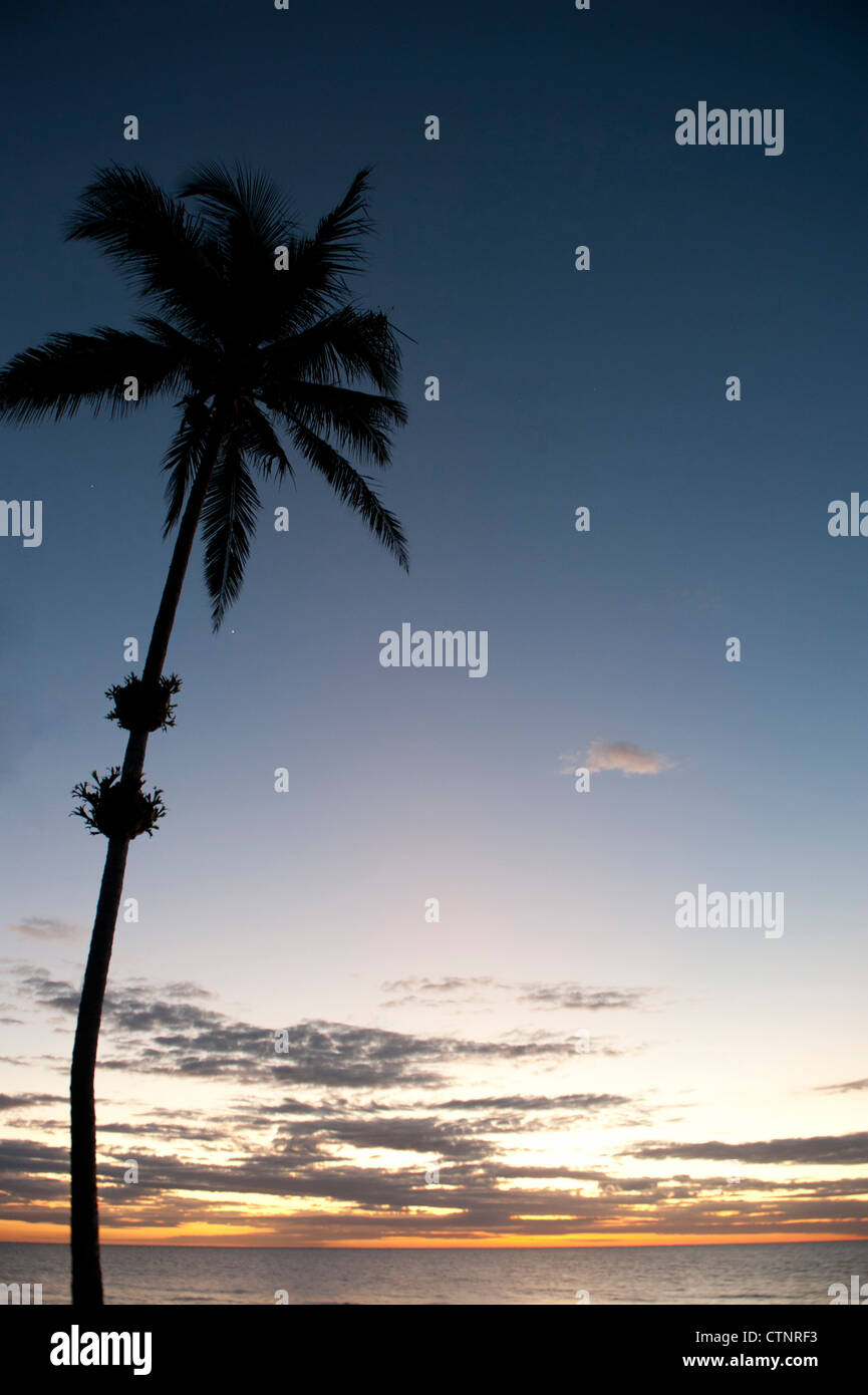 Sonnenaufgang am Wongaling Beach, ein Teil der Mission Beach, mit Palmen, Kasuar Küste, Nord-Queensland, Australien Stockfoto