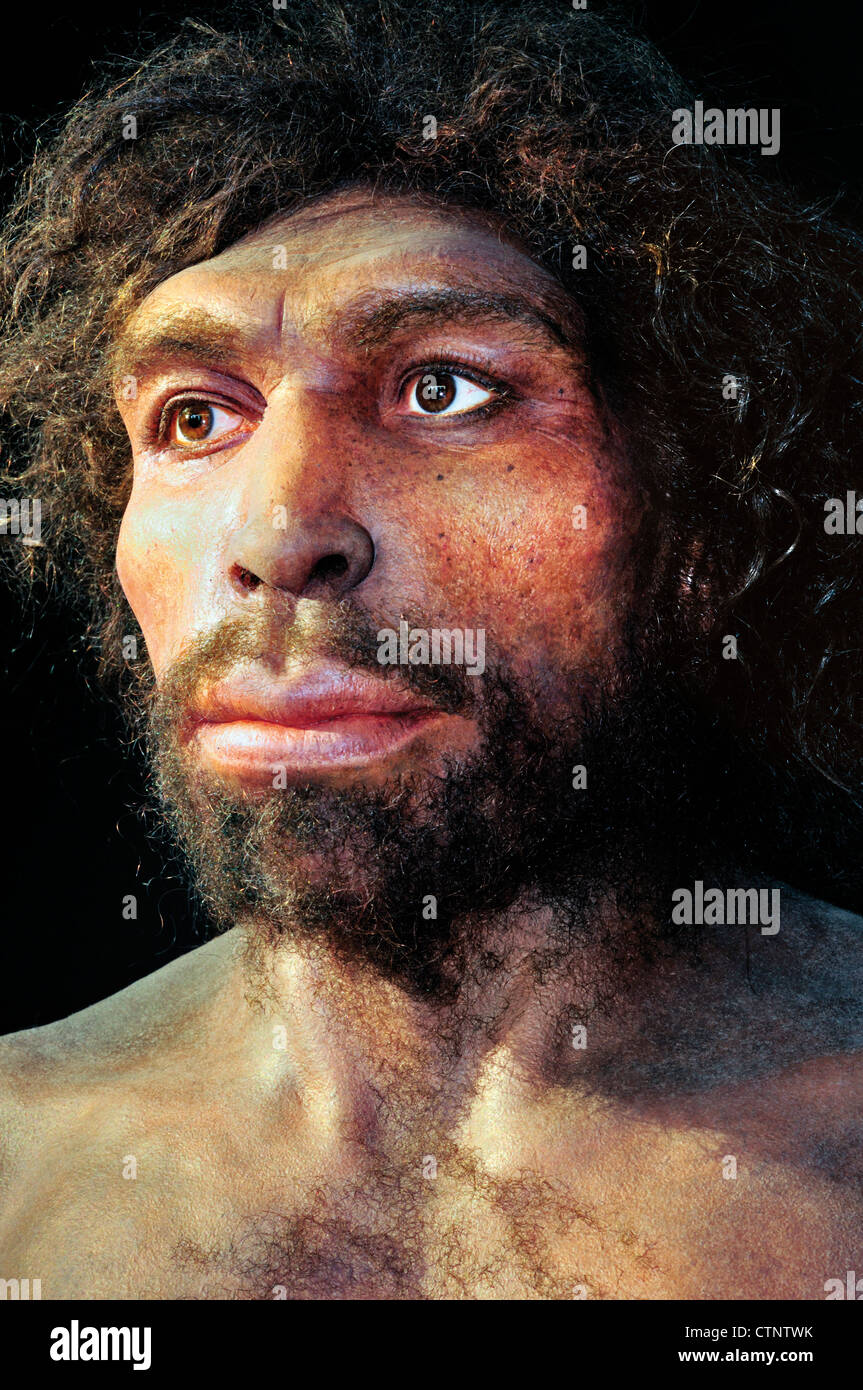 Spanien, Burgos: Reproduktion von einem männlichen Homo Rhodesiensis im Museum der menschlichen Evolution Stockfoto