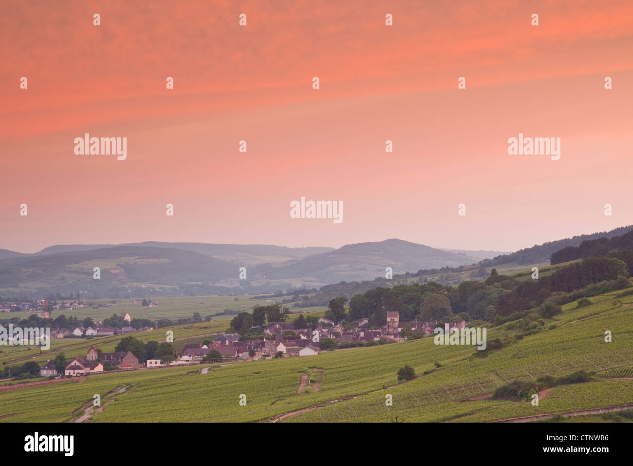 Die riesigen Weinbergen von Beaune im Burgund, Frankreich. Stockfoto