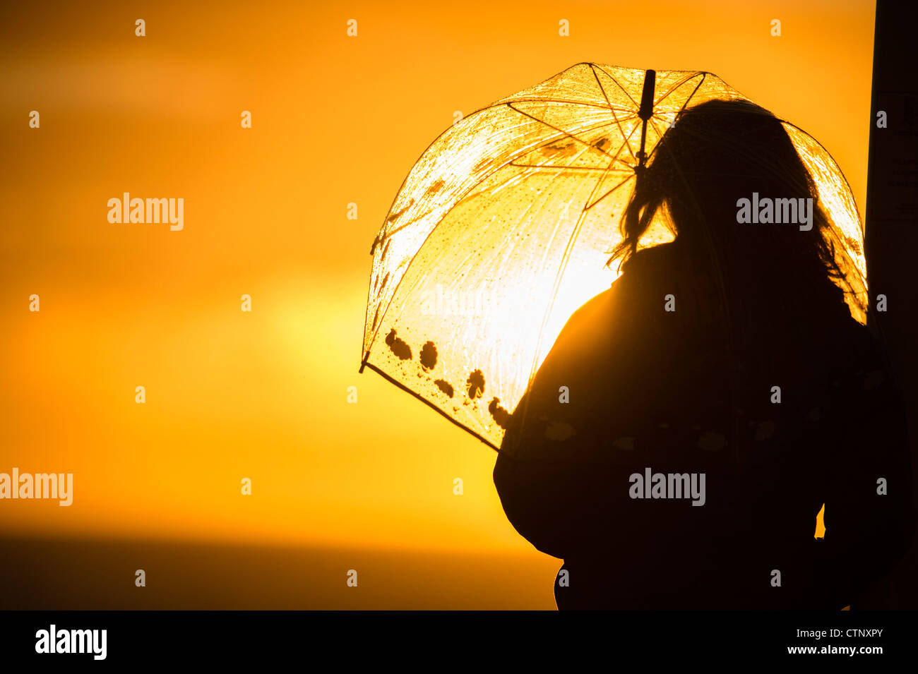 Eine Frau, Blick auf den Sonnenuntergang unter einem durchsichtigen Kunststoff Dach der Sonne nach dem Regen, UK Stockfoto