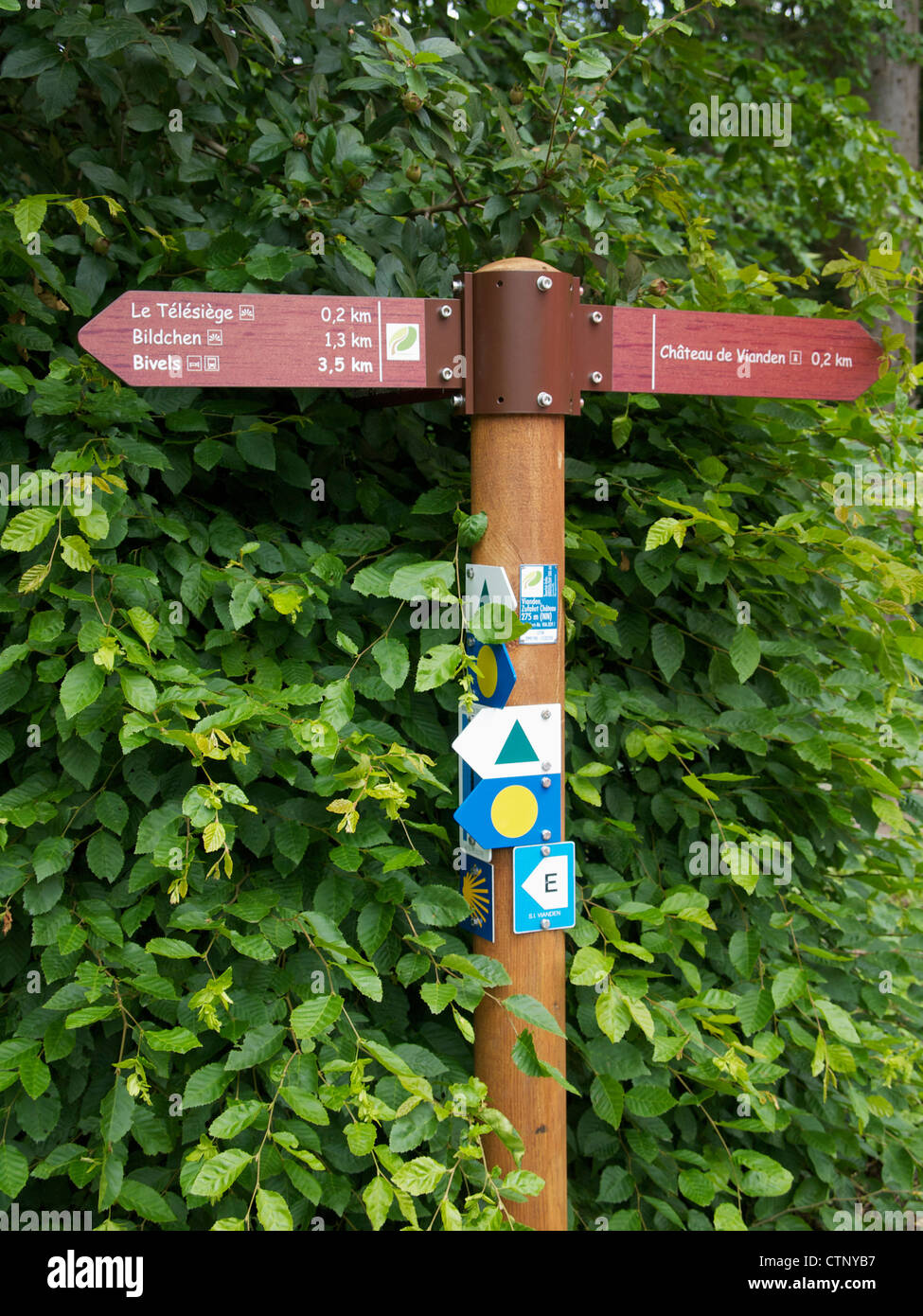 Walking Strecken-Zeichen in der Nähe von Vianden, Luxemburg. Es hat sogar eine Abzeichen des Camino, der Pilger-Weg nach Santiago De Compostela. Stockfoto