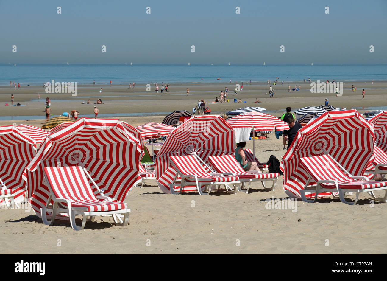Gestreifte Sonnenschirme und Liegestühle am Strand von De Panne, Belgien Stockfoto