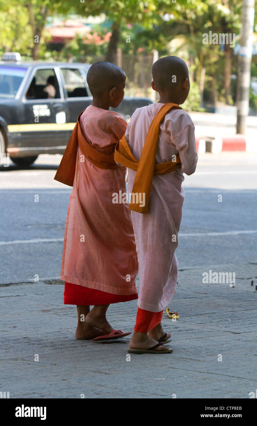 Junge buddhistische Nonnen in Yangon (Rangoon), Myanmar (Burma). Stockfoto